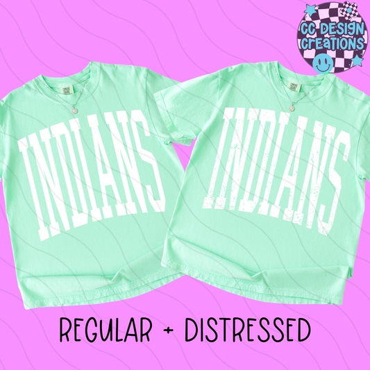 INDIANS MASCOT SKINNY VARSITY PNG DIGITAL DOWNLOAD (REG + DIS INCLUDED)