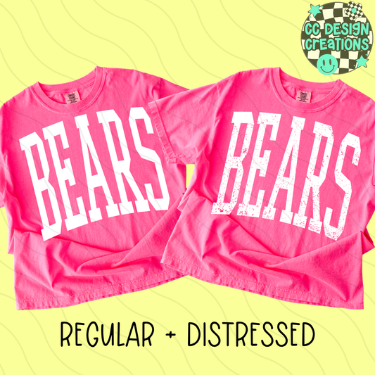 BEARS MASCOT SKINNY VARSITY PNG DIGITAL DOWNLOAD (REG + DIS INCLUDED)